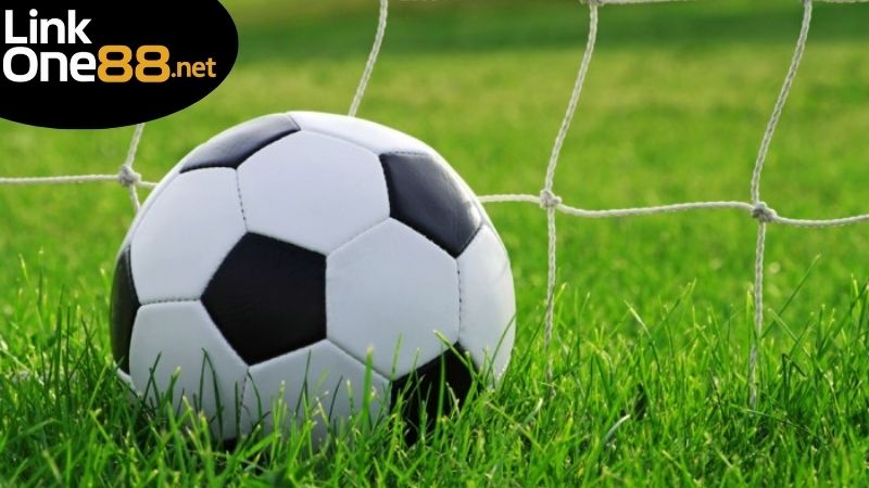 Những Loại Kèo Nào Không Nên Cược - Bí Quyết Tránh Thua Lỗ 2 Kèo tài xỉu không đáng tin cậy
